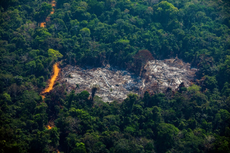 Projeto “Mais diálogo, menos desmatamento” é lançado pelo MPMT