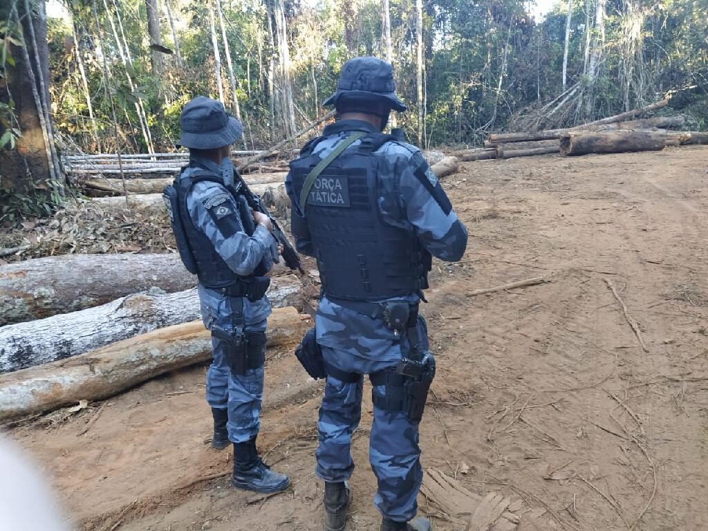 Operação da Polícia Civil cumpre 18 mandados judiciais contra associação criminosa que furtou propriedade rural em MT