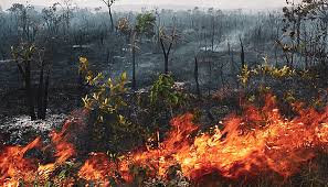 Corpo de Bombeiros extingue incêndio no Portão do Inferno e combate outros 23 nesta terça-feira (08)