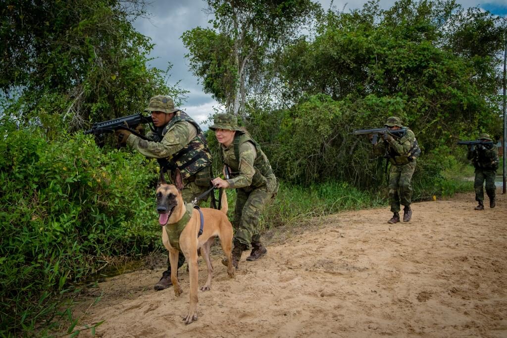 Operação integrada apreende mais de 700 tabletes de droga em caminhão e causa prejuízo de cerca de R$ 7 milhões ao crime