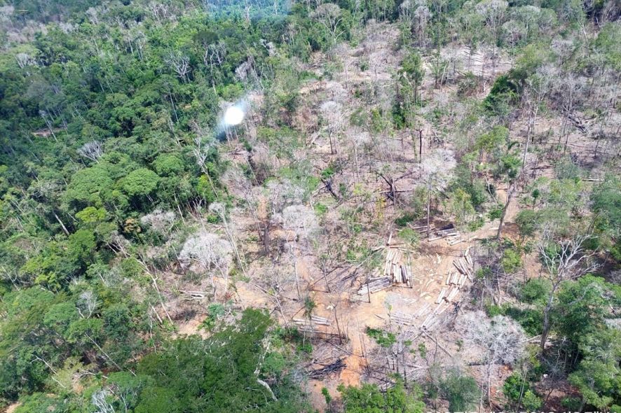 Prorrogada adesão a programa de combate ao desmatamento na Amazônia