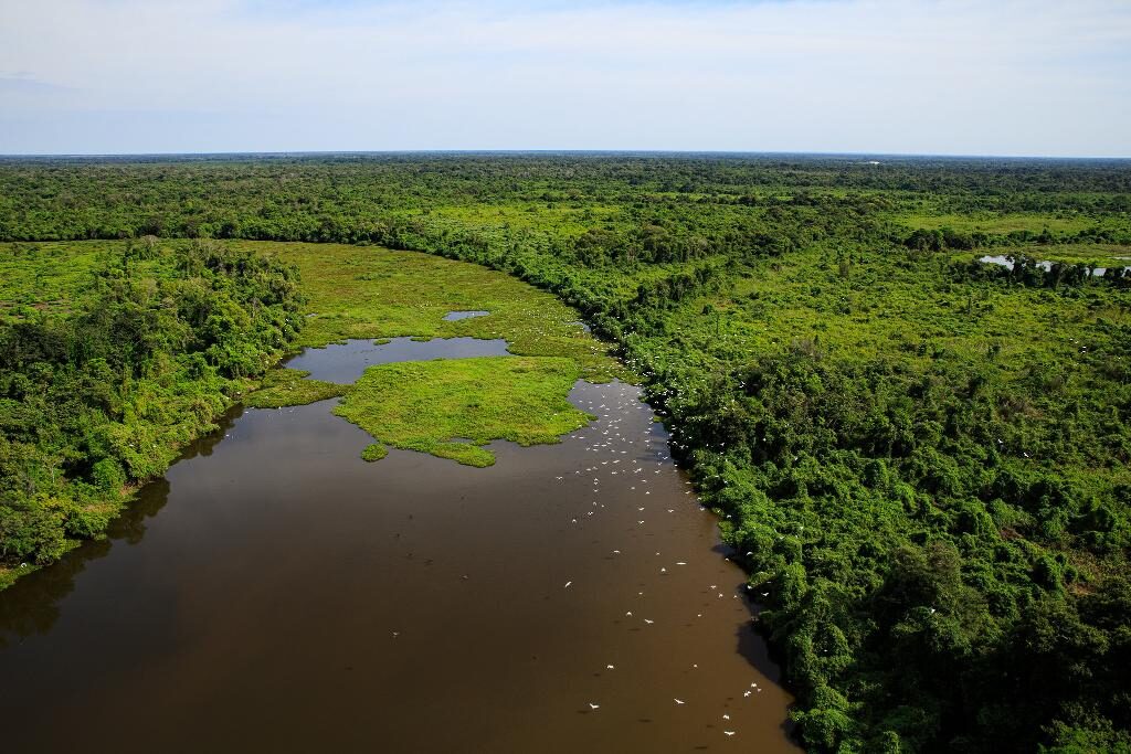 Enquanto RS enfrenta enchente histórica, agência reconhece seca crítica em bacia do Pantanal