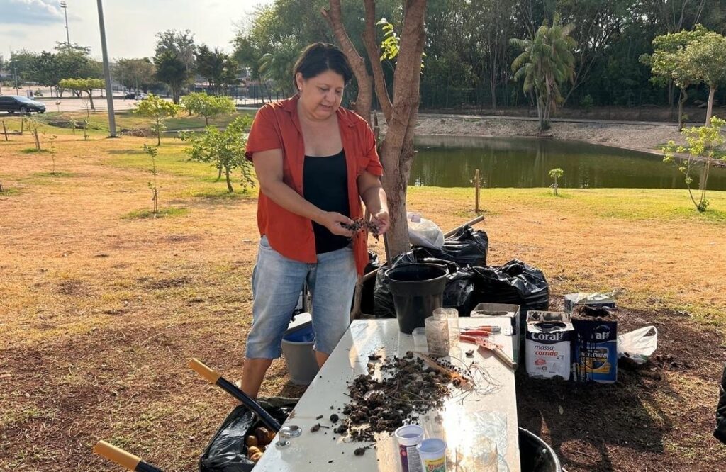 Plantio sustentável do paisagismo reflete compromisso ambiental e artístico na CASACOR Mato Grosso